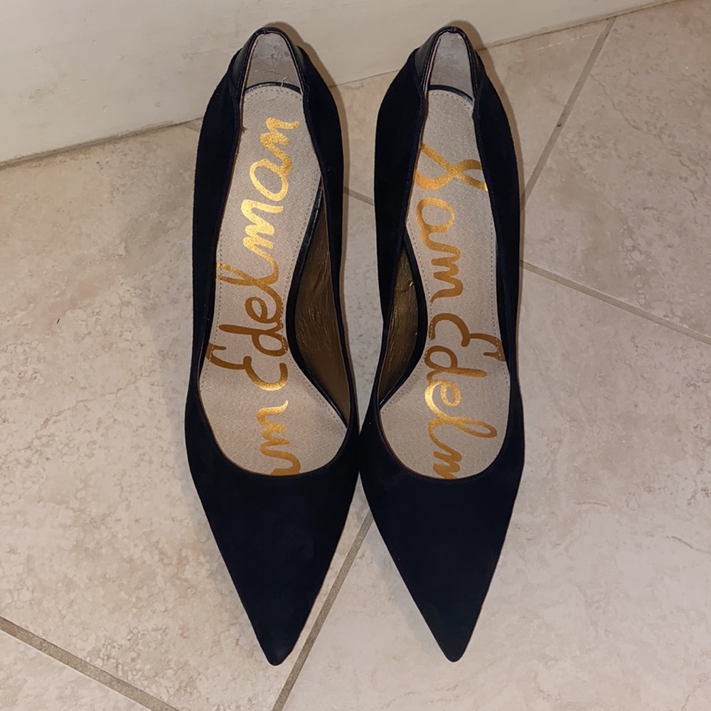 Sam Edelman Hazel Pointed Toe Pump